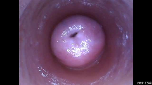 Kira-淫荡自拍（内窥镜阴部摄像头视频）【PJGirls】