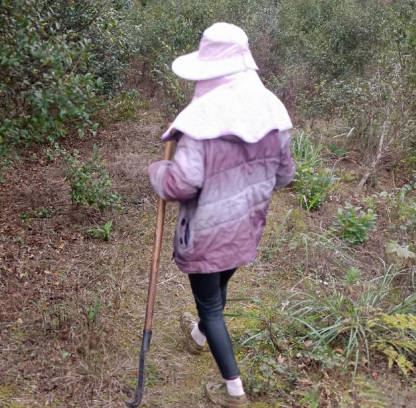 和妈妈上山干活的第二天野战成功拿下老妈