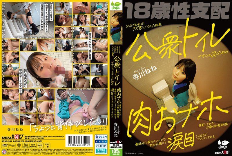 SDAB-341 18岁嫩妹网撩渣男 公厕内被狂干内射沦陷