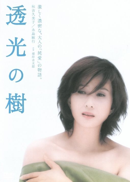 透光的树