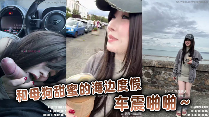 
和母狗甜蜜的海边度假，车震啪啪～