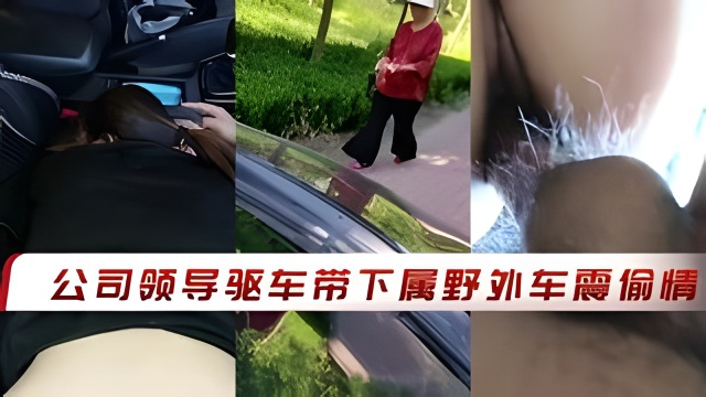 
        公司领导驱车带下属野外车震偷情      