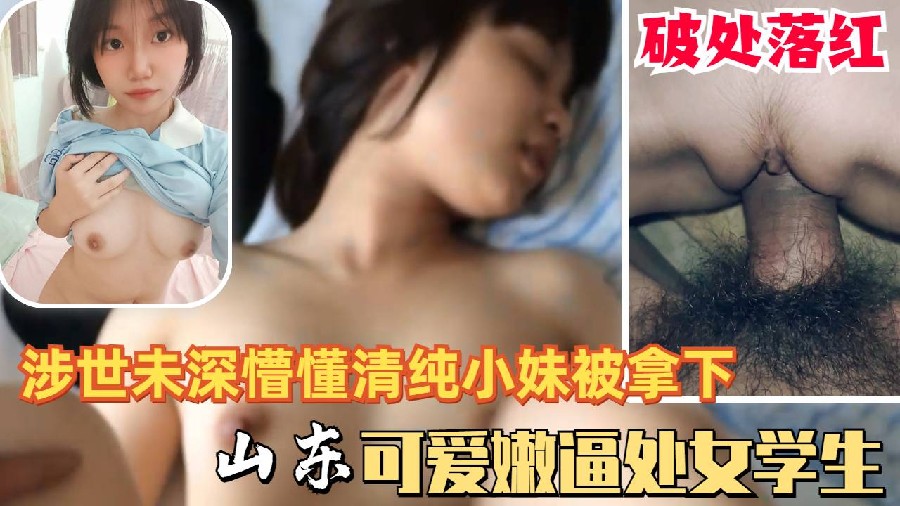 
可爱懵懂清纯山东高中少女学生处女被拿下落红被猪拱的白菜