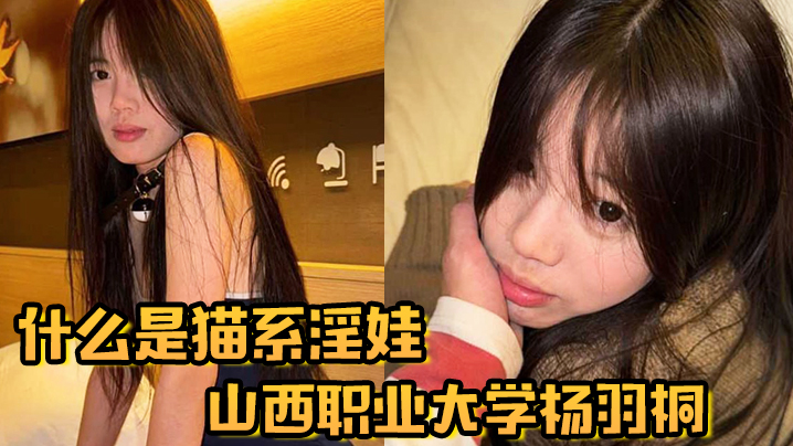 
什么是猫系淫娃山西职业大学杨羽桐被曝光在发情期褪去高冷转变为淫娃
