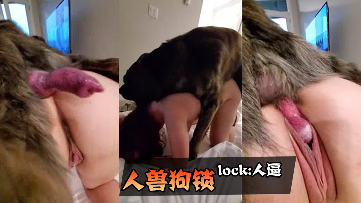 
人兽狗锁lock人逼人妻