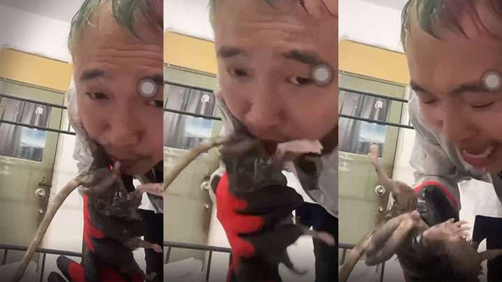 
劲爆给老鼠口交什么奇葩性趣