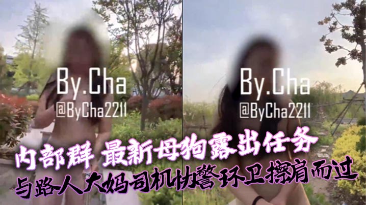 
查小理内部群最新母狗露出任务与路人大妈司机协警环卫擦肩而过