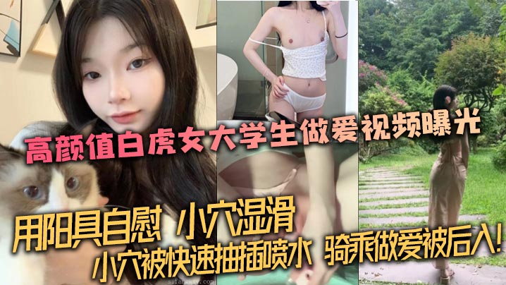 
泄密流出高颜值白虎女大学生做爱视频曝光用阳具自慰小穴湿滑小穴被快速抽插喷水骑乘做爱被后入